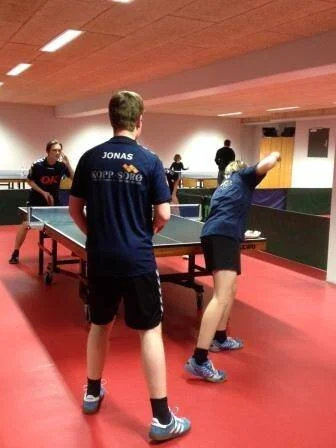 Juniordivisionen_22012017