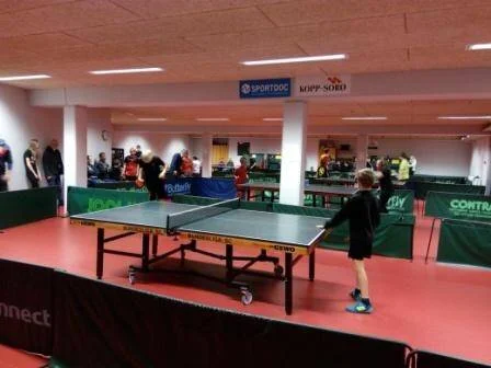 Pointstaevne nov2017